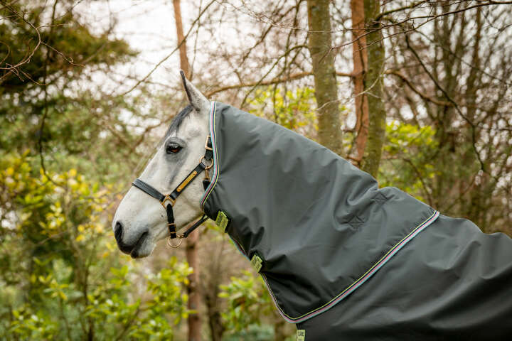 Horseware AMIGO Outdoordecke Hero Ripstop Plus 100 g